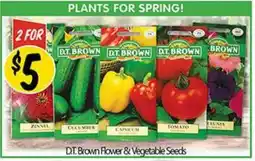NQR DT. Brown Flower & Vegetable Seeds offer
