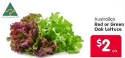 Spar Australian Red or Green Oak Lettuce offer