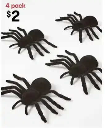 Spider