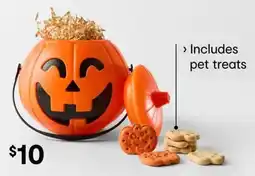 Kmart Pumpkin Pet Treats offer
