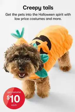 Kmart pet costume offer