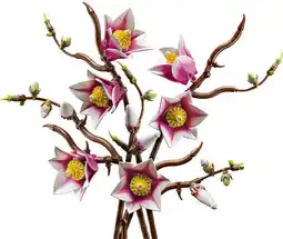 Target LEGO Botanicals Magnolia Branches 11510 offer