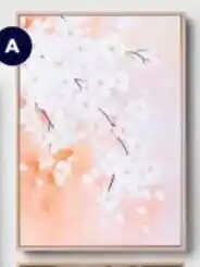Spotlight KOO Cherry Blossom offer