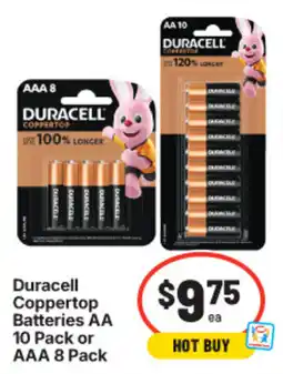 IGA Duracell Coppertop Batteries AA offer