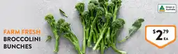 Foodworks Broccolini Bunches offer