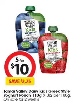 Coles Tamar Valley Dairy Kids Greek Style Yoghurt Pouch offer