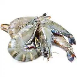 Woolworths Australian Thawed Extra Large Green Tiger Prawns offer
