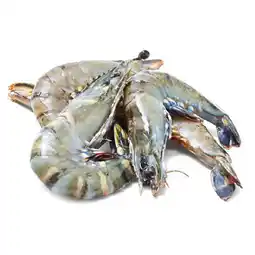 Woolworths Australian Thawed Extra Large Green Tiger Prawns offer