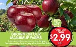 Spudshed Cripps Gem Apples offer
