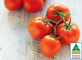 IGA Australian Truss Tomatoes offer