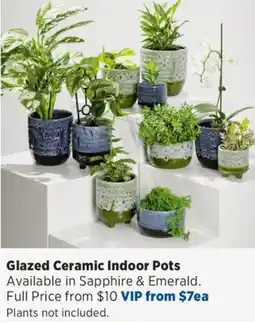 Spotlight Glazed Ceramic Indoor Pots offer