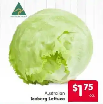 Australian Iceberg Lettuce