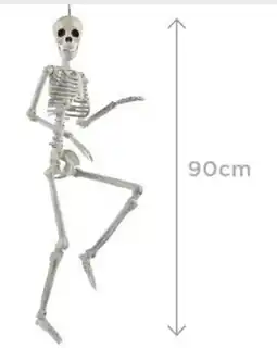 Spotlight Posable Skeleton 90 cm offer