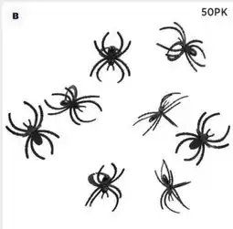 Spotlight Spiders offer