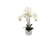 LivingStyles Farley Artificial Phanlaenopsis Orchid in Ceramic Pot offer
