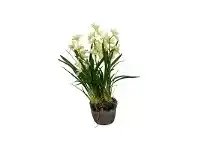 LivingStyles Harvir Artificial Cymbidium Orchid in Terracotta Pot offer