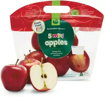 Woolworths Woolworths Australian Mini Apples Pk 5 offer