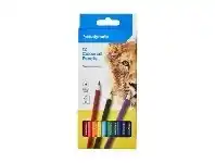 Officeworks Studymate Coloured Pencils 12 Pack offer