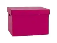 Officeworks Marbig Coloured Archive Box Berry offer