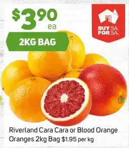 Foodland Riverland Cara Cara or Blood Orange Oranges offer