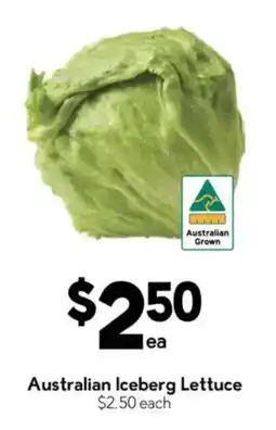 Drakes Australian Iceberg Lettuce offer