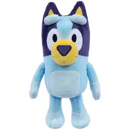 Woolworths Bluey Plush Toy – Assorted offer