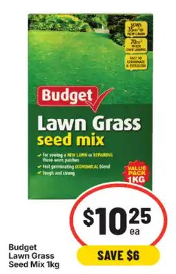 IGA Budget Lawn Grass Seed Mix offer