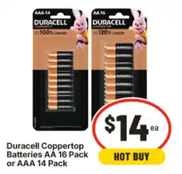 IGA Duracell Coppertop Batteries offer
