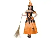 The Party People Shop Adult Costume - Storybook Witch offer