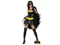 Adult Costume - Secret Wishes Batgirl