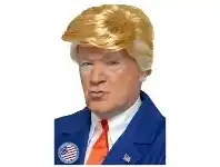 Wig - President, Trump