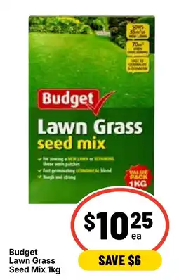 Ritchies Budget Lawn Grass Seed Mix offer