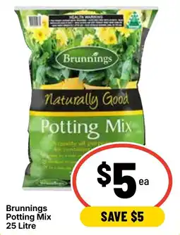 Ritchies Brunnins Potting Mix offer