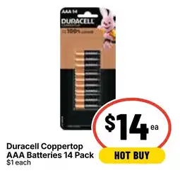 Ritchies Duracell Coppertop AAA Batteries offer