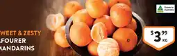 Foodworks Fourer Mandarins offer
