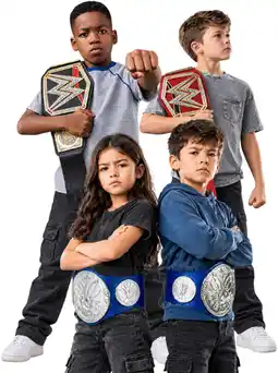 Toymate WWE Championship Title Assorted offer