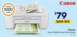 BIG W Canon Pixma TR4665 Home Office Printer offer