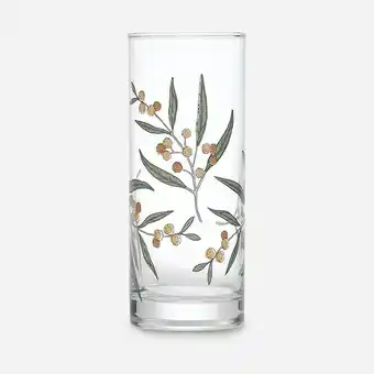 Kmart 6 Wattle Hiball Glasses offer