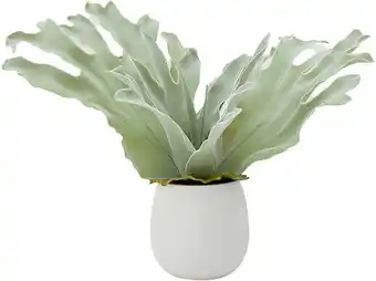 Kmart Artificial Staghorn Fern in Pot offer