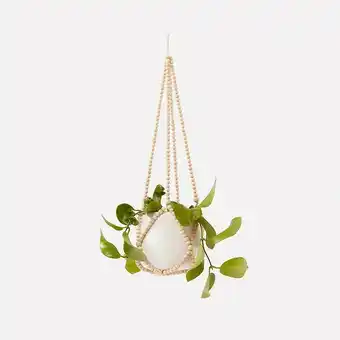 Kmart Beaded Hanging Planter with Pot offer