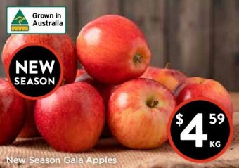 Foodworks New Season Gala Apples offer