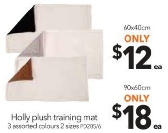 Cheap as Chips Holly Plush Training Mat 60x40cm offer