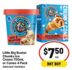 IGA Little Big Buster Chunks Ice Cream offer