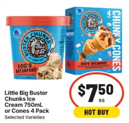 IGA Little Big Buster Chunks Ice Cream offer