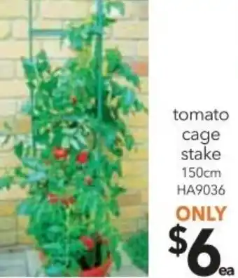 Tomato Cage Stake 150cm