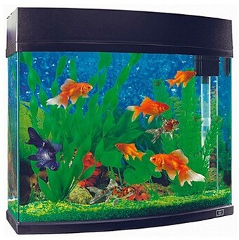 Marine Masters Marine Master Fish Tank 20-Litre