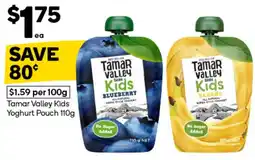 Woolworths Tamar Valley Kids Yoghurt Pouch offer