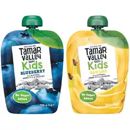Woolworths Tamar Valley Kids Yoghurt Pouch offer
