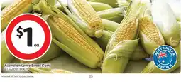 Coles Australian Loose Sweet Corn offer