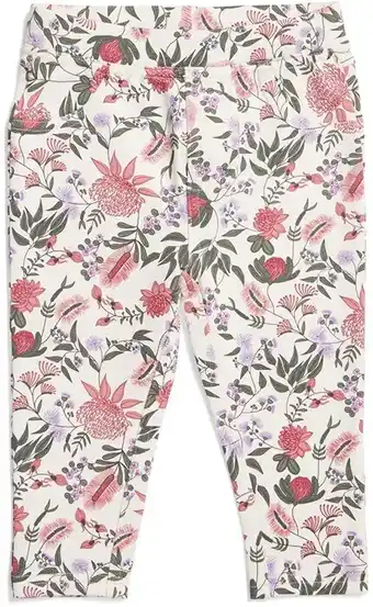 BIG W Dymples Tregging offer